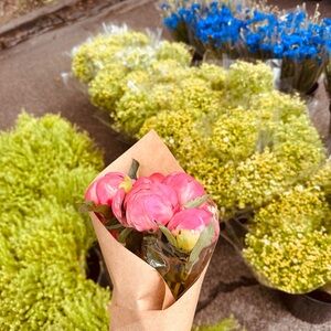 Meet your Posher, Diana